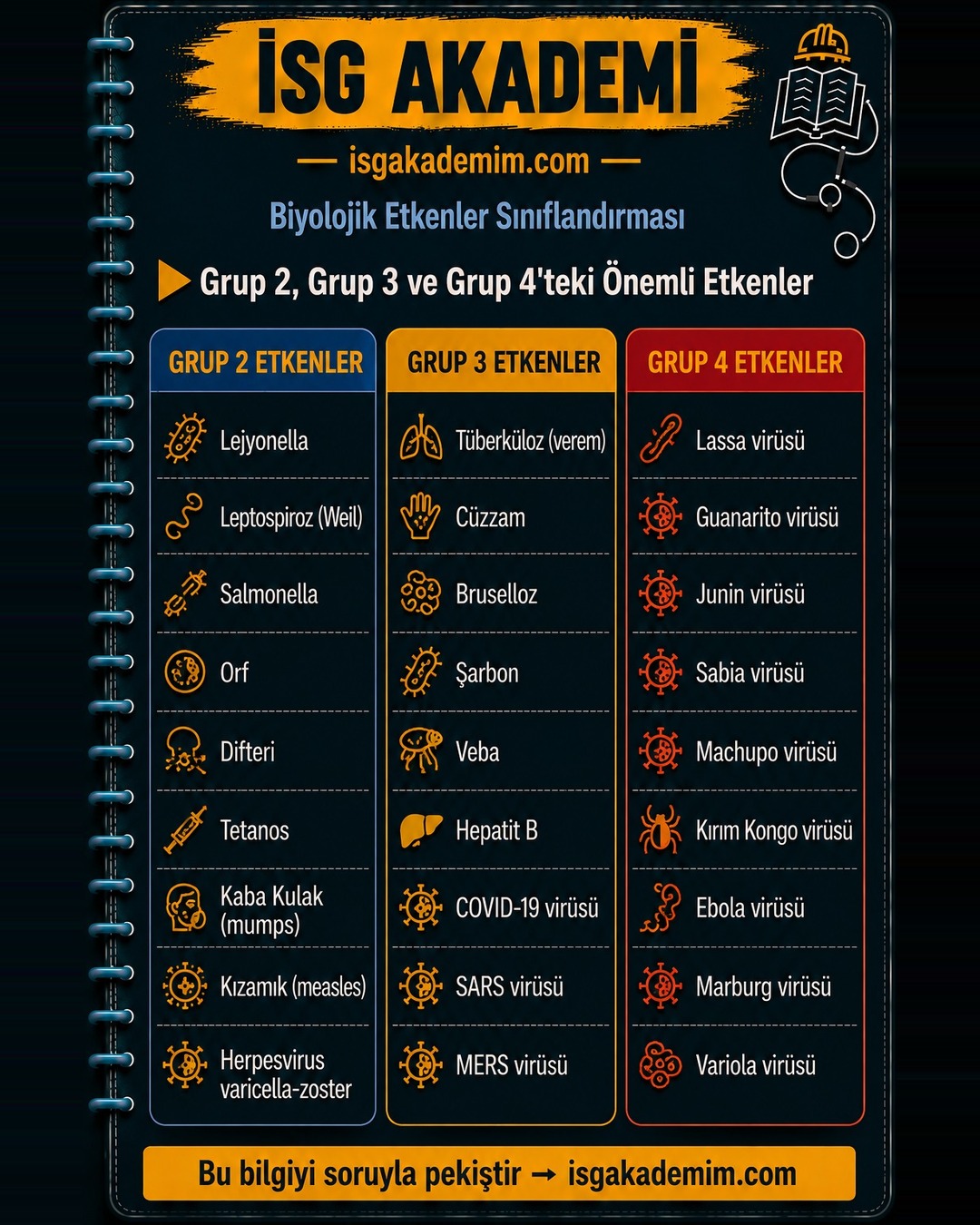 Grup 2, Grup 3 ve Grup 4'teki Önemli Etkenler
