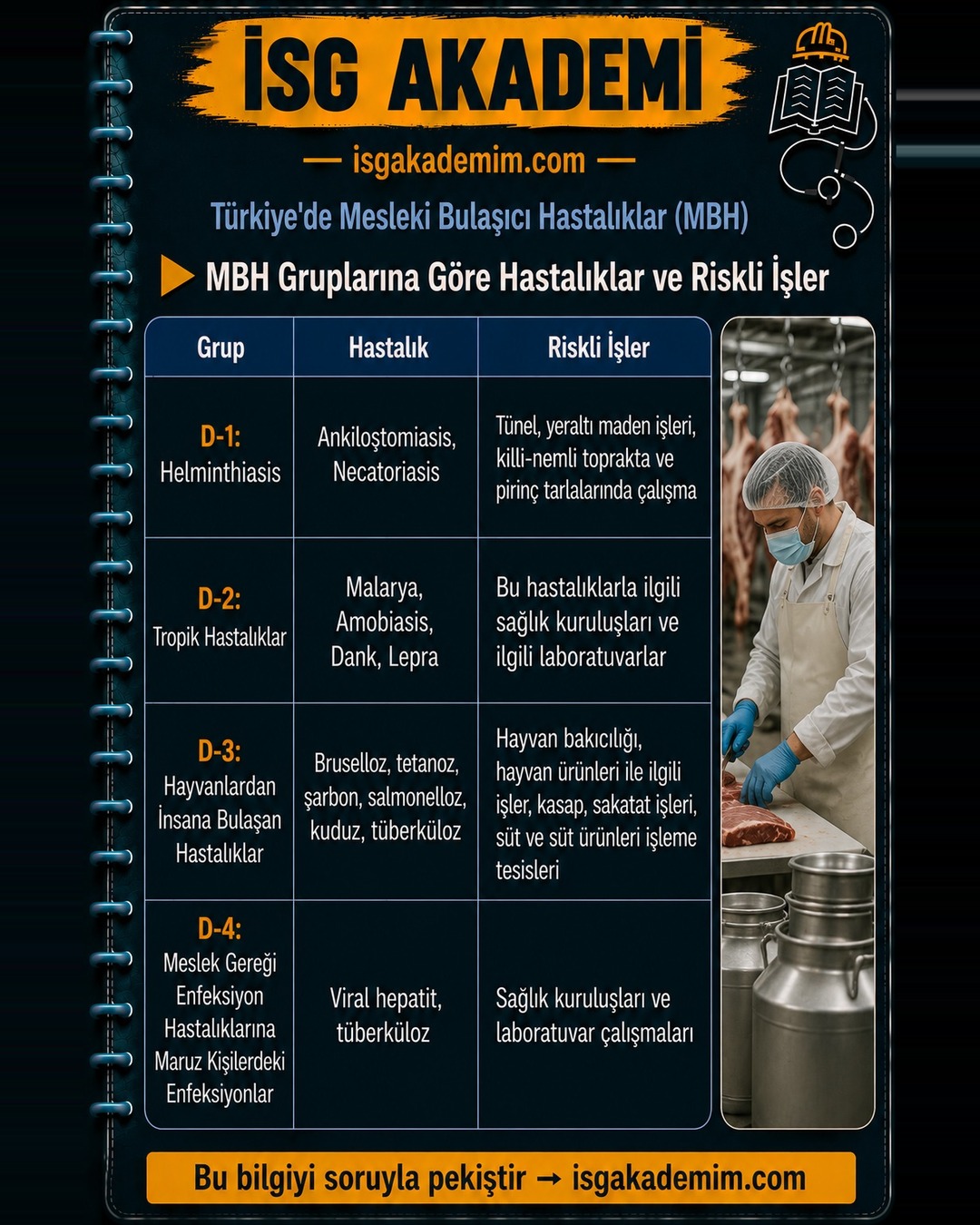 MBH Gruplarına Göre Hastalıklar ve Riskli İşler