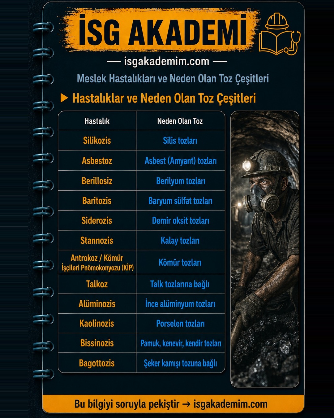 Hastalıklar ve Neden Olan Toz Çeşitleri