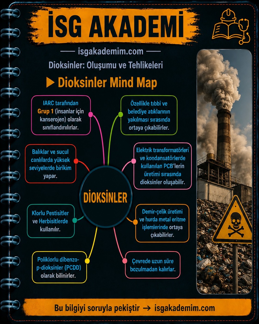 Dioksinler Mind Map