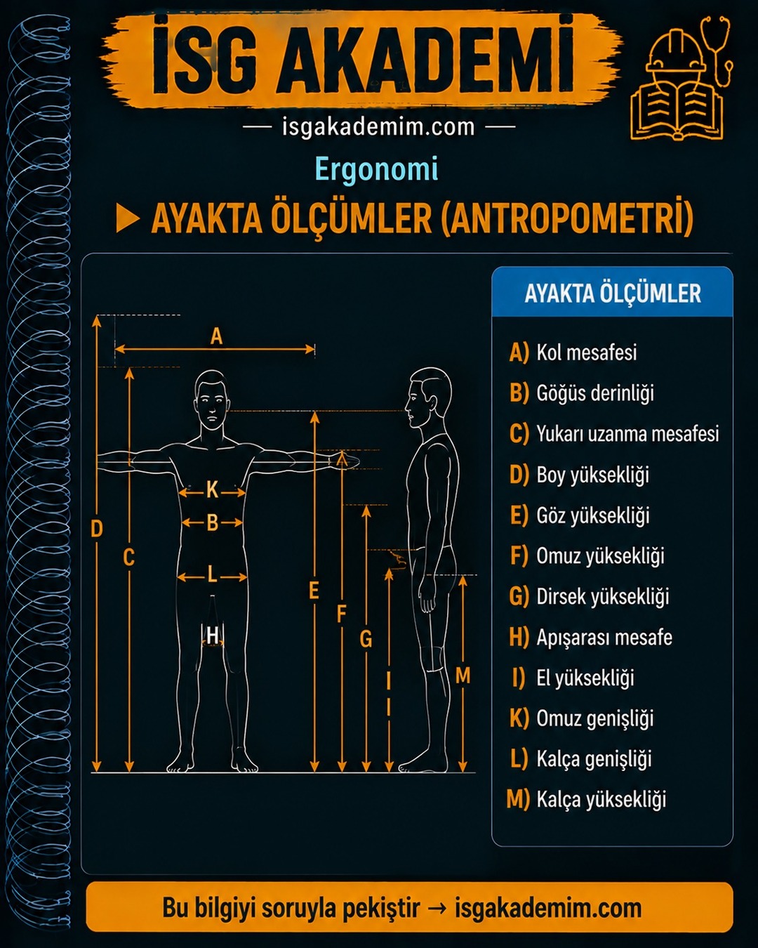 AYAKTA ÖLÇÜMLER (ANTROPOMETRİ)
