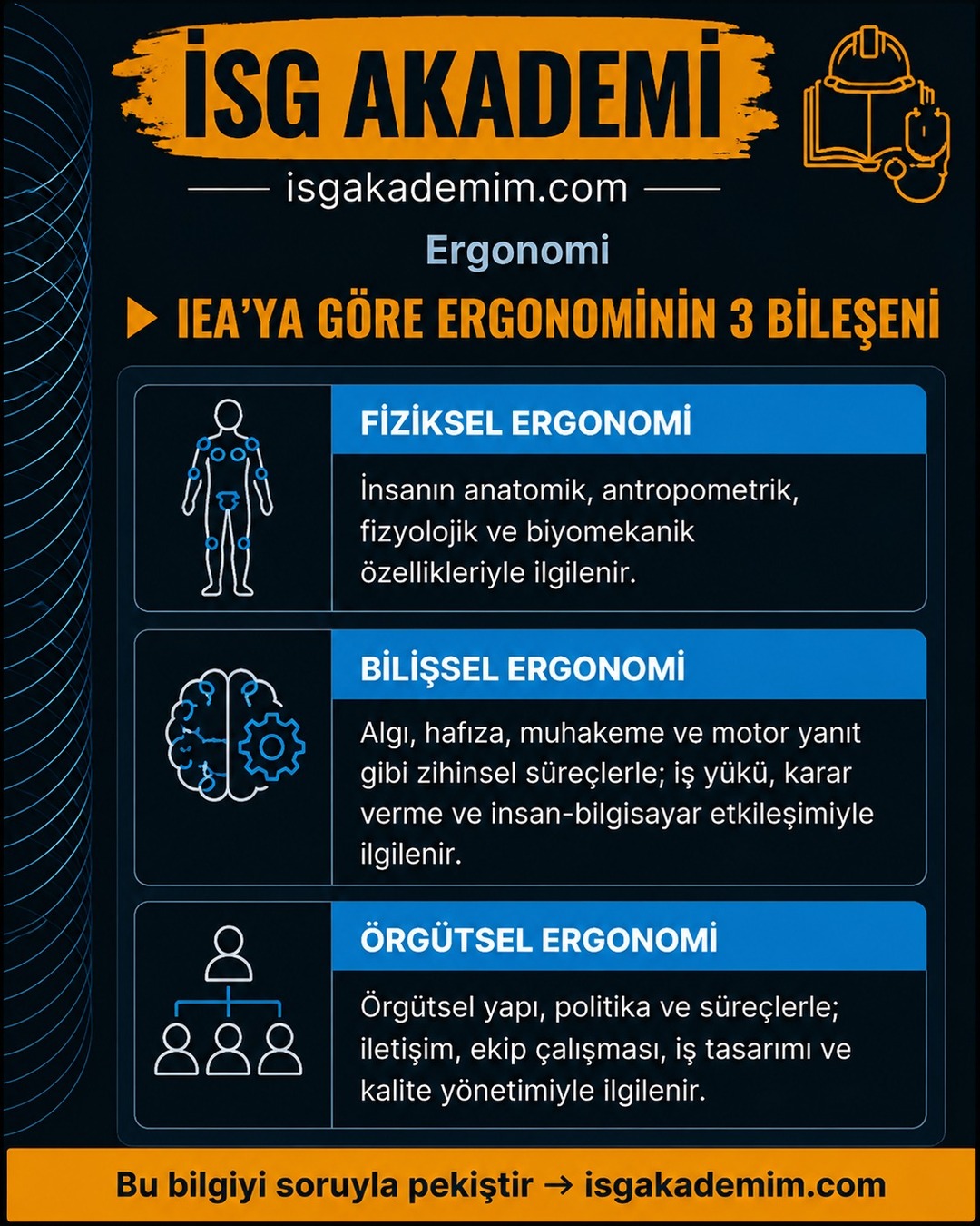 IEA'YA GÖRE ERGONOMİNİN 3 BİLEŞENİ