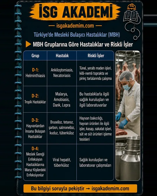 Mesleki Bulaşıcı Hastalıklar — hap bilgi kartı: MBH Gruplarına Göre Hastalıklar ve Riskli İşler. D-1 helminthiasis (maden, pirinç tarlası), D-2 tropik hastalıklar, D-3 hayvandan bulaşanlar, D-4 sağlık kurumlarında viral hepatit ve tüberküloz.